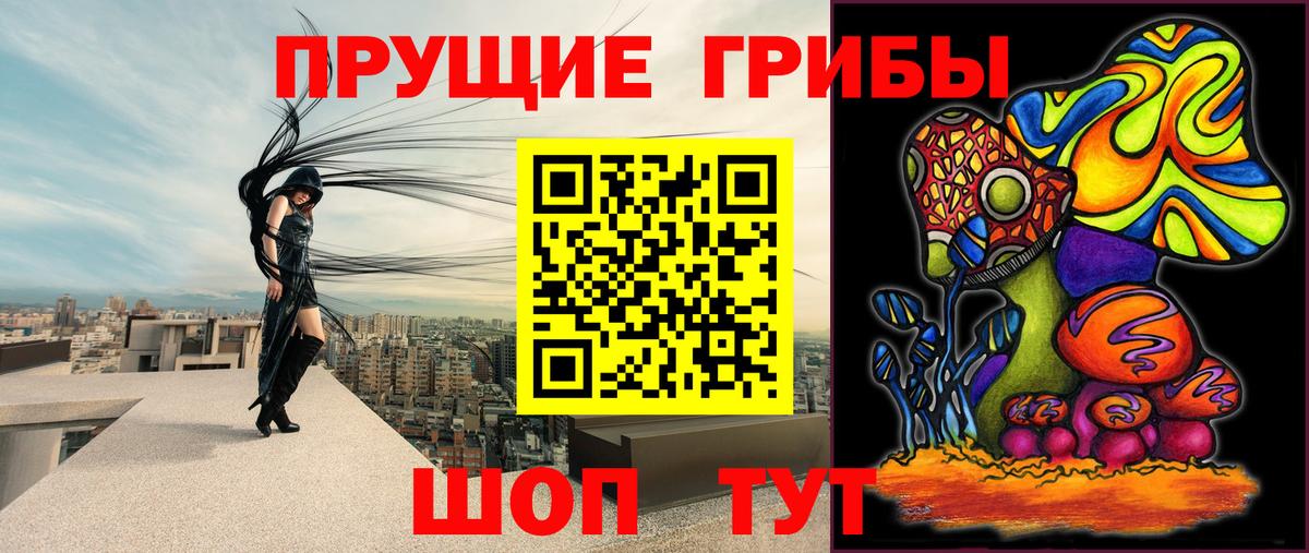 Псилоцибиновые грибы GOLDEN TEACHER  Галлюциногенные грибы MAGIC MUSHROOMS  Вход с VPN  Сосновоборск 
